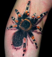 татуировка паук